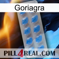 Goriagra 22